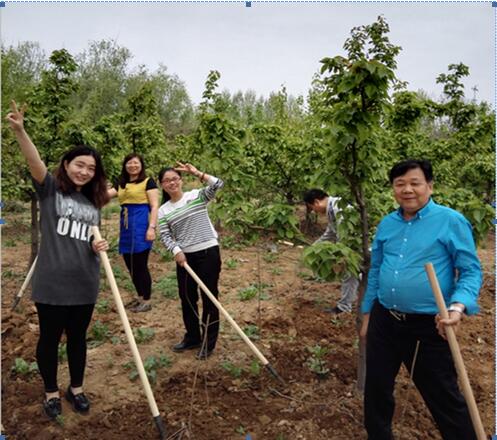 1461232228834518.jpg 3.jpg