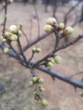 1644650202166439.png image.png